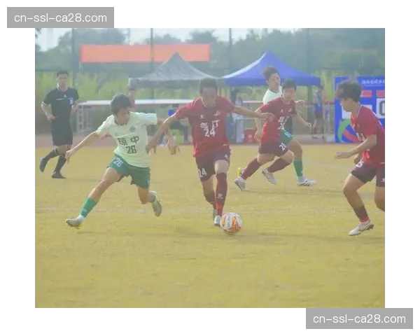 中国大学生棒垒球联赛南区赛收官，厦门大学、南京大学分获男女组冠军