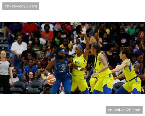 “明尼苏达山猫队举办新赛季媒体日，状元热门参与合影”